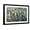 Black Frame, variant on Art.com White Blooms with Navy I Art Print by Tim O'toole, 18" x 12"