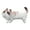 Milo cat_45X29, variant on 3D Cat Pillow Animal Cushion Toy Stuffed Animal Cat Picture Pillow Sofa Car Cushion 2023 Hot 3D Animal Print Pillow