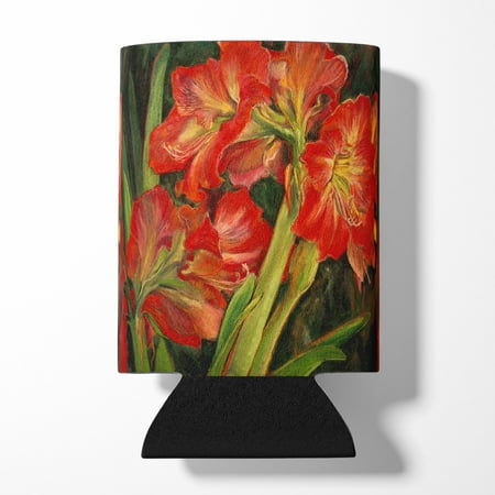 

Carolines Treasures DND0091CC Amaryllis by Neil Drury Can or Bottle Hugger Can Hugger multicolor