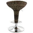 thumbnail image 3 of Elama 2 Piece Adjustable Rattan Barstool in Brown with Chrome Base, 3 of 9