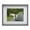 Gray, variant on Melannco 17X21-inch White MDF Wood Picture Frame, Matted for 11X14 Photo