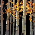 thumbnail image 2 of Michael OToole 28x28 Gallery Wrapped Canvas Wall Art Titled - Aspen Grove, 2 of 4