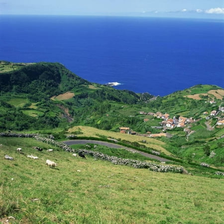 Cattle, Fields and Small Village on the Island of Flores in the Azores, Portugal, Atlantic, Europe Print Wall Art By David