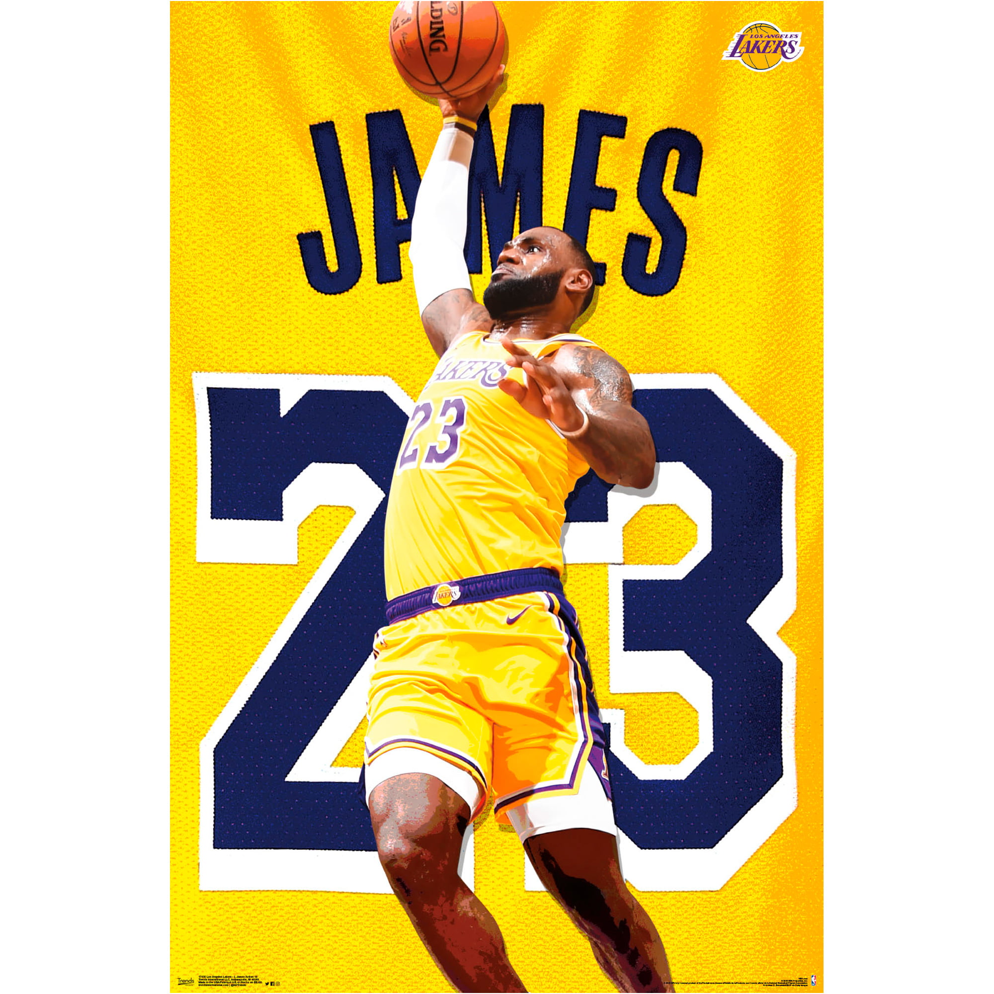 LeBron James Los Angeles Lakers 22.4 
