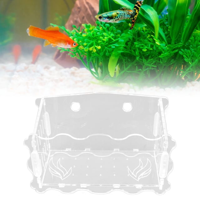 Maceta Acuática, Macetero Duradero, Hermoso Acrílico Para Decoración