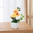 thumbnail image 6 of Stunning Potted Butterfly Orchid Flowers for Home and Office 26x10x10cm, 6 of 6