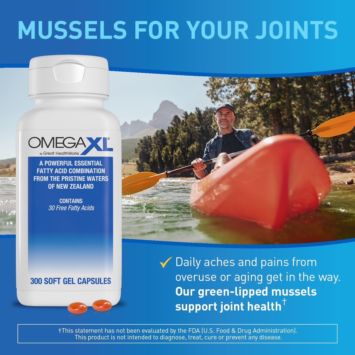 Buy OmegaXL Support for Joint & Muscle Health, Mobility & Joint Pain