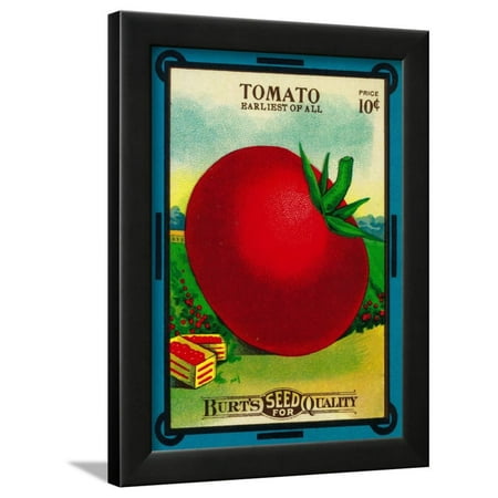 Tomato Press - Tomato Seed Packet Framed Print Wall Art By Lantern Press