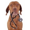 thumbnail image 2 of Dog as Nurse Wall Mural by Wallmonkeys Peel and Stick Graphic (36 in H x 21 in W) WM112518, 2 of 4