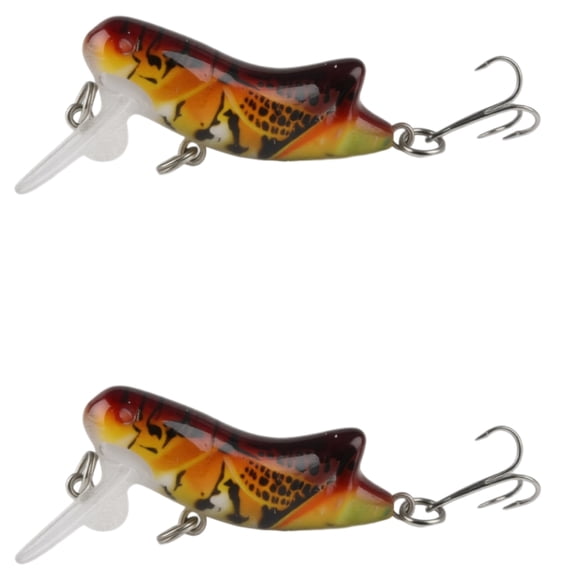Bisitoy 2Pcs Realistic Fishing Lures Set with Sharp Hooks for Freshwater Bass Trout
