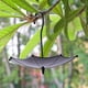 thumbnail image 4 of Comedero para Pájaros con Diseño de Sombrilla, Plataforma Colgante, Fácil de Limpiar, para Jardín., 4 of 5