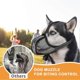 thumbnail image 5 of Dog Muzzle Adjustable Breathable Mesh Pet Mouth Cover Soft Comfortable Anti-Biting Dog Mouth Guard Pet Supplies, 5 of 5