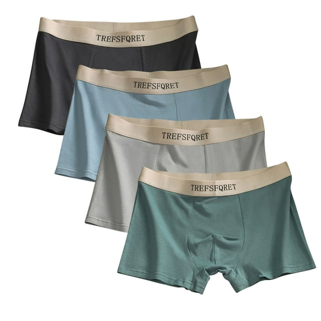 Weiqiqre Boxeurs pour Hommes Mode Confort Coton Uni Lavables Boxeurs Anti-Fuites Breif