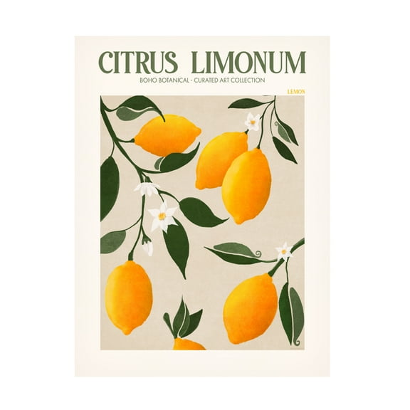 Trademark Fine Art Emel Tunaboylu Rectangle 18 Canvas Wall Art