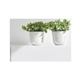 thumbnail image 3 of Ecopots Oslo 4.5” x 4” x 4.5” Round Pure White Plastic Plant Pot, 3 of 4
