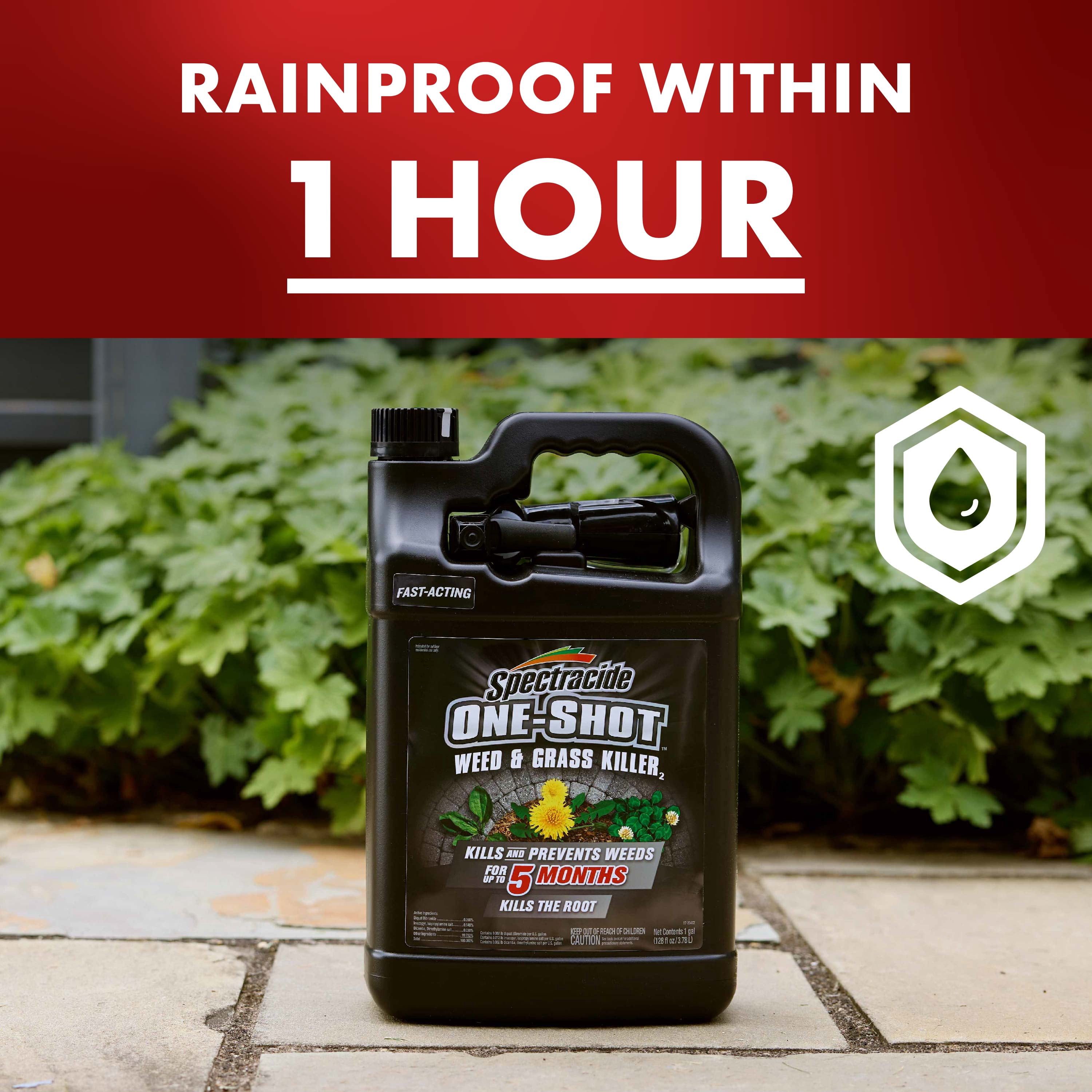 Spectracide One Shot Weed & Grass Killer Ready-to-Use Spray, 1 Gallon