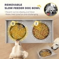 thumbnail image 6 of PawHut Elevated Dog Bowls with Storage, Raised Bowl Stand with 2 Stainless Steel Food Dishes and Slow Feeder, Pet Feeding Station for Large Dogs, Gray, 6 of 9