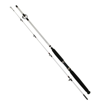 Big Game Spinning Rod (Best Sea Bass Spinning Rod)
