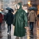 thumbnail image 1 of Chubasquero con capucha Fernando chaqueta impermeable poncho de lluvia L Verde, 1 of 8