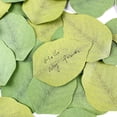 thumbnail image 4 of Tree Leaves Sticky Notes Memo Pad Self-Adhesive Bookmark Leaf Sticky Note Leaf Promotional Gifts Stationery, 4 of 9