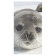thumbnail image 2 of MKHERT Seal Pups Bath Towel Hand Towel Shower Towel Washcloth 30x56 inch, 2 of 2