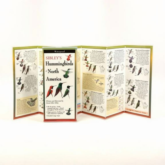 FoldingGuides: Sibley's Hummingbirds of North America (Other)