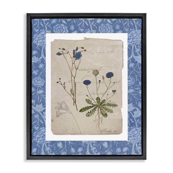 Stupell Industries Blue Antique Herbs Black Framed Floater Canvas Wall Art, design by Livi Finn