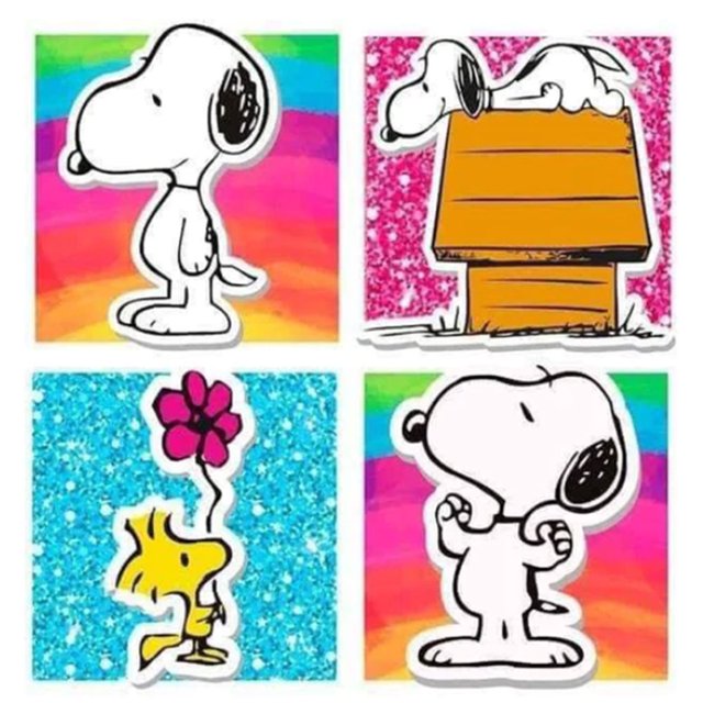 Snoopy Diamond Painting Kits Full Round Drill Wall Art Decor 40x40cm (L3270) Sywqhk Decoración hogareña