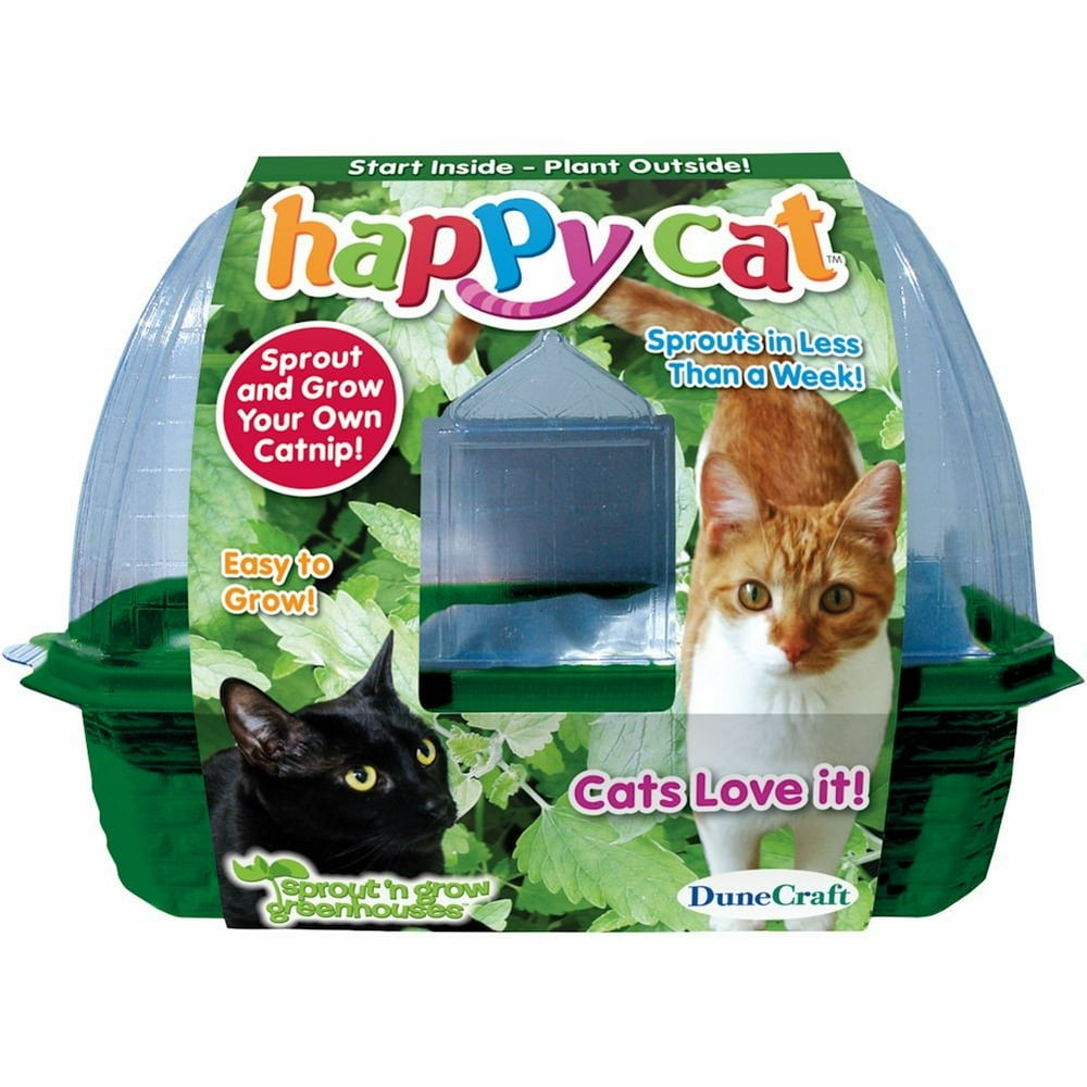Happy Cat Grow Your Own Catnip Plant Kit Cat Toy