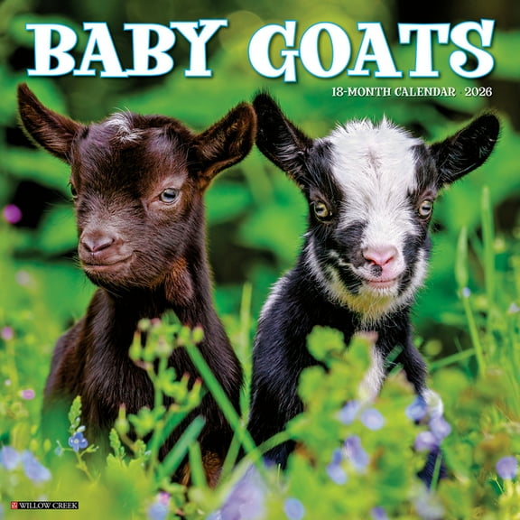 Baby Goats 2026 Wall Calendar, (Paperback)