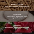 thumbnail image 6 of The Genius Brand Burn, Caffeine-Free - 60 Veggie Capsules, 6 of 9