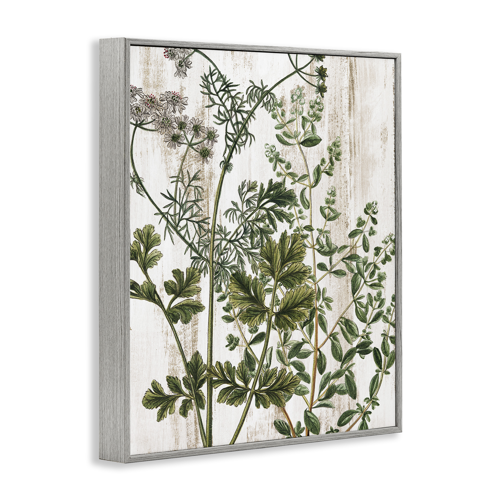 Stupell Industries Botanical Greenery Pattern Botanical & Floral Painting Gray Framed Art Print Wall Art, 11 x 14