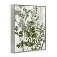thumbnail image 4 of Stupell Industries Botanical Greenery Pattern Botanical & Floral Painting Gray Framed Art Print Wall Art, 11 x 14, 4 of 10