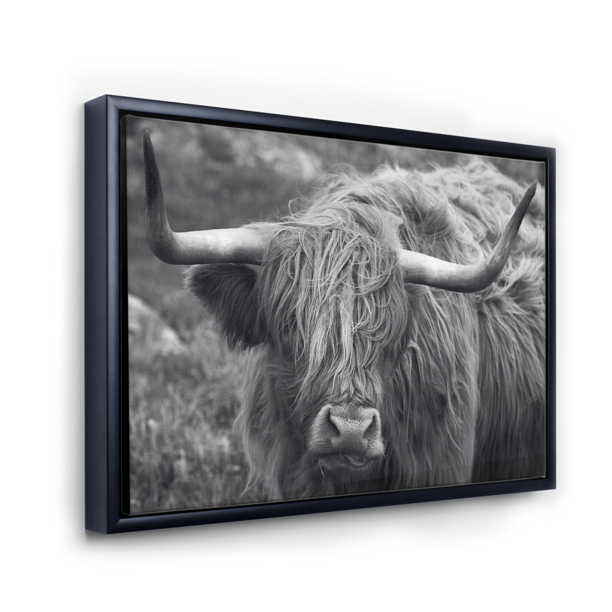Designart 'Close Up Of Scottish Cow On Moorland I' Farmhouse Framed Canvas Wall Art Print