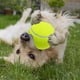 thumbnail image 1 of Pelota de juguete para masticar perros de 9,5 pulgadas, pelota de goma resistente a mordeduras para perros, juguetes molares, suministros para mascotas, 1 of 2