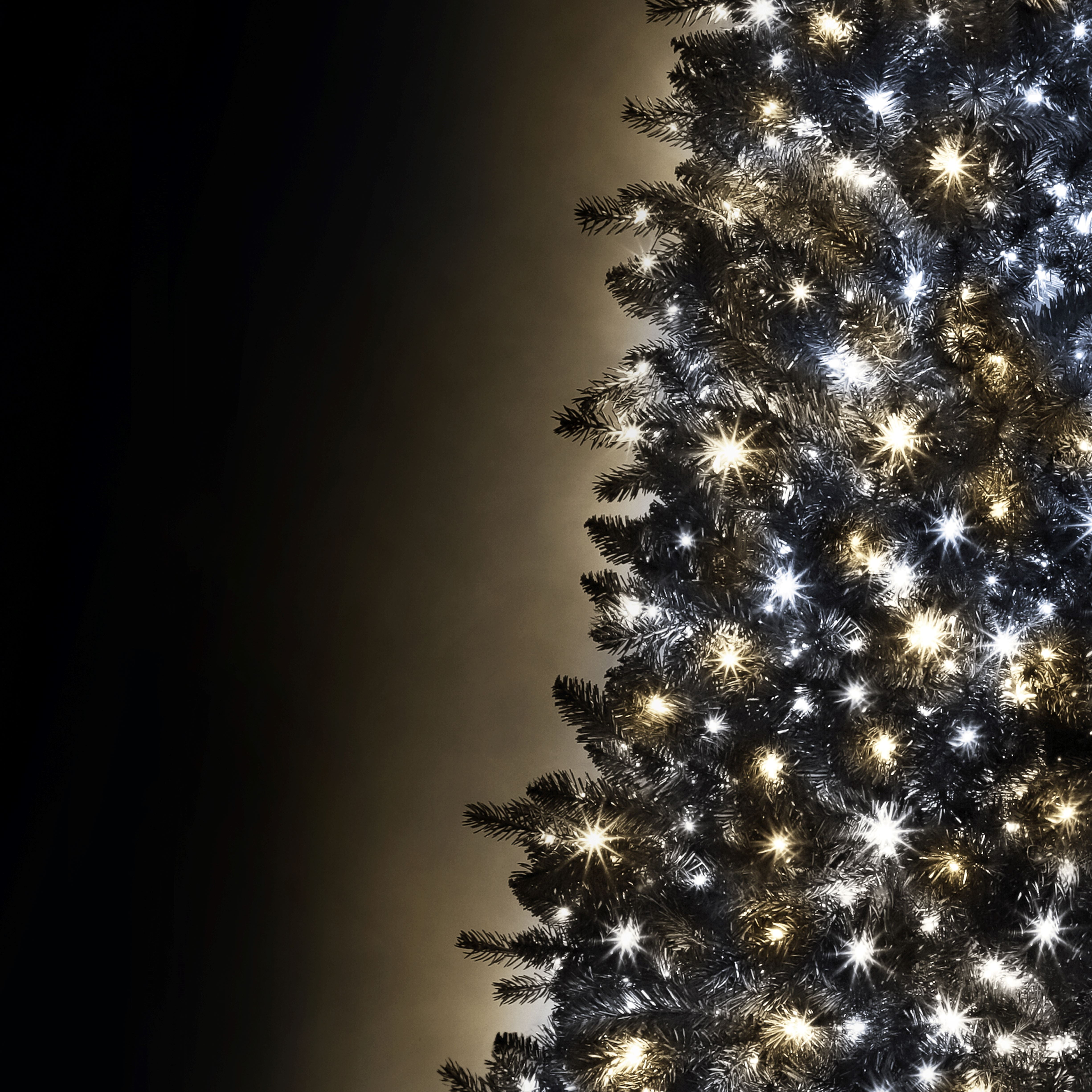 Danson Décor 500CT LED Plug In Lights, Warm White/ Pure White