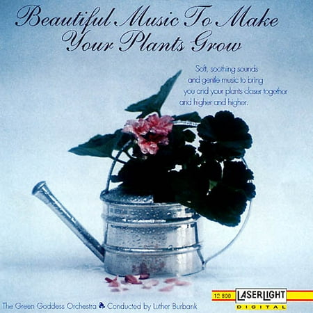 Beautiful Music To Make Your Plants Grow