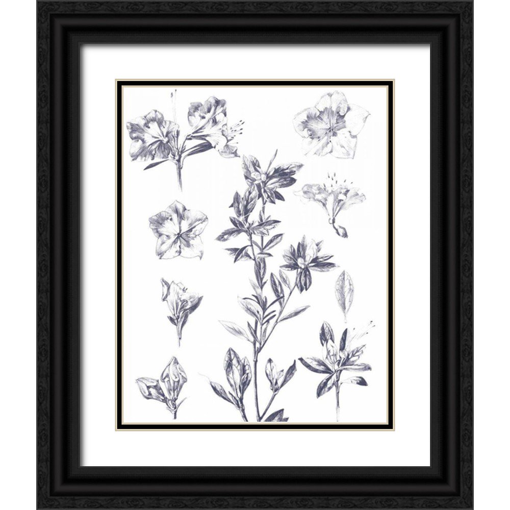 Wild Apple Portfolio 20x24 Black Ornate Wood Framed with Double Matting Museum Art Print Titled - Lithograph Florals I Blue