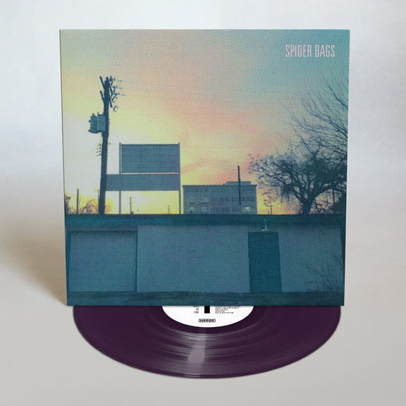 Spider Bags - Someday Everything Will Be Fine - Music & Performance - Vinyl