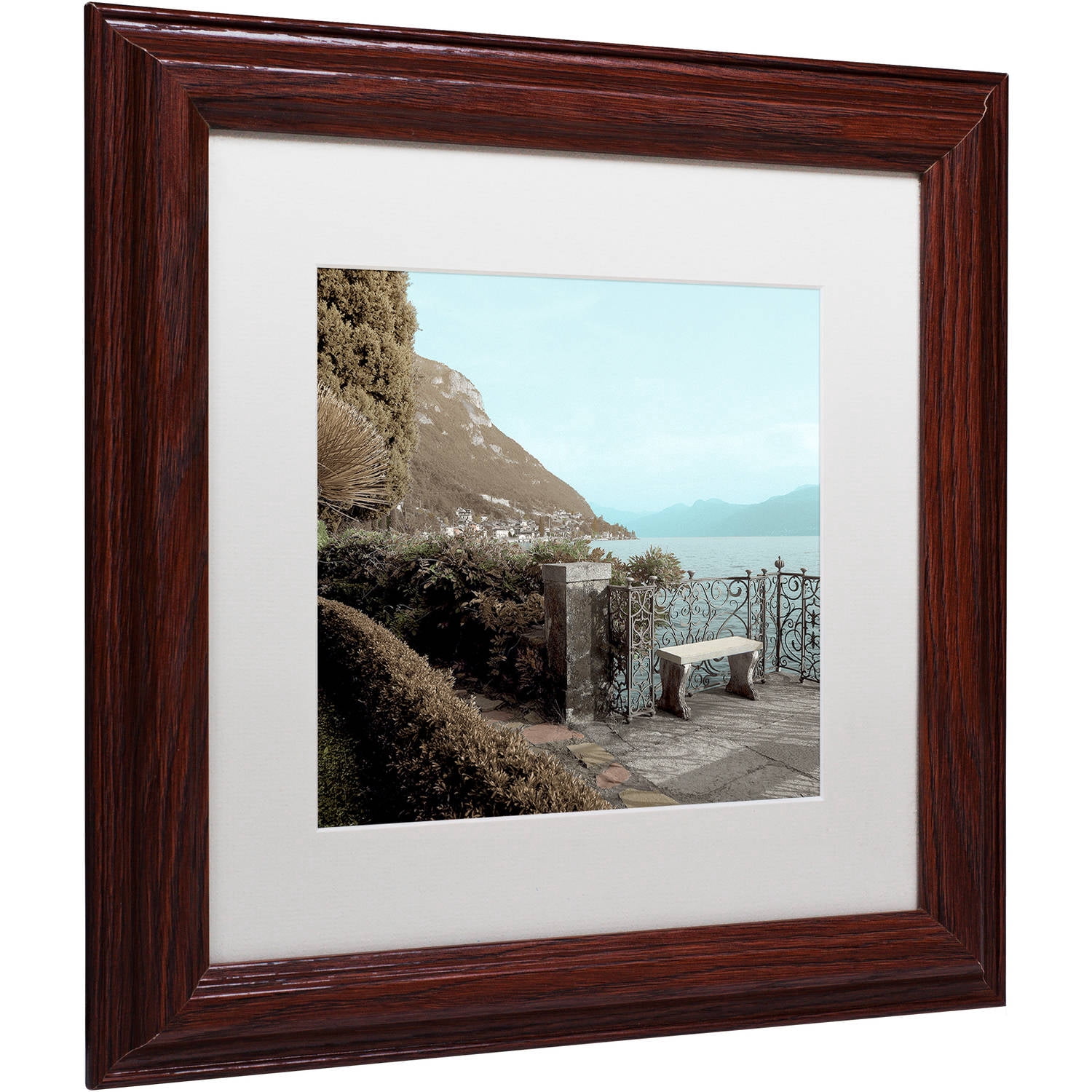 Trademark Fine Art "Lake Vista IV" Canvas Art by Alan Blaustein, White Matte, Wood Frame