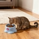 thumbnail image 5 of Comedero y bebedero elevado para gatos | Gran capacidad de 250 ml | Diseño ancho y poco profundo | Soporte para el cuello para una alimentación cómoda | Plato de plástico para mascotas, 5 of 6