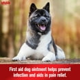 thumbnail image 3 of Sulfodene Dog Wound Care Ointment, Relieves Pain & Prevents Infection For Dog Cuts, Scrapes, Bites and Injuries, 2 Ounce, 3 of 11