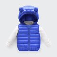 thumbnail image 2 of Ketyyh-chn99 Toddler Kids Baby Boys Girls Winter Coats with Cute Bear Ear Hoods Colorful Windproof Padded Jacket Outwear Blue,2-3 Years, 2 of 5