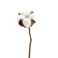 thumbnail image 2 of Artificial Cotton Stems Dried Cotton Flowers Faux Branches Farmhouse Rustic Floral Arrangement Vase Filler Wedding Home Table Decor Natural Style Decoration Living Room Shelf Accent, 2 of 6