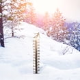 thumbnail image 1 of Xihbxyly Medidor de Nieve de 24 Pulgadas, Construcción Metálica Artesanal, Calibración Precisa para Facilitar La Lectura, Inserción En Terreno Irregular, Decoración de Jardín Exterior, Regalo Navideñ, 1 of 6