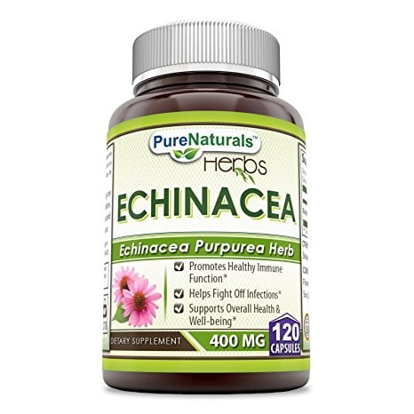 Pure Naturals Echinacea 400 Mg 120 Veggie Capsules Supplement | Non-GMO | Gluten Free | Made in USA