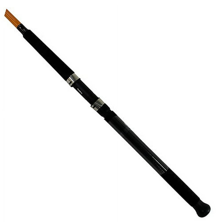 Free Shipping! Daiwa FT Surf Spinning Rod 2 Pack 8'0 Medium Action