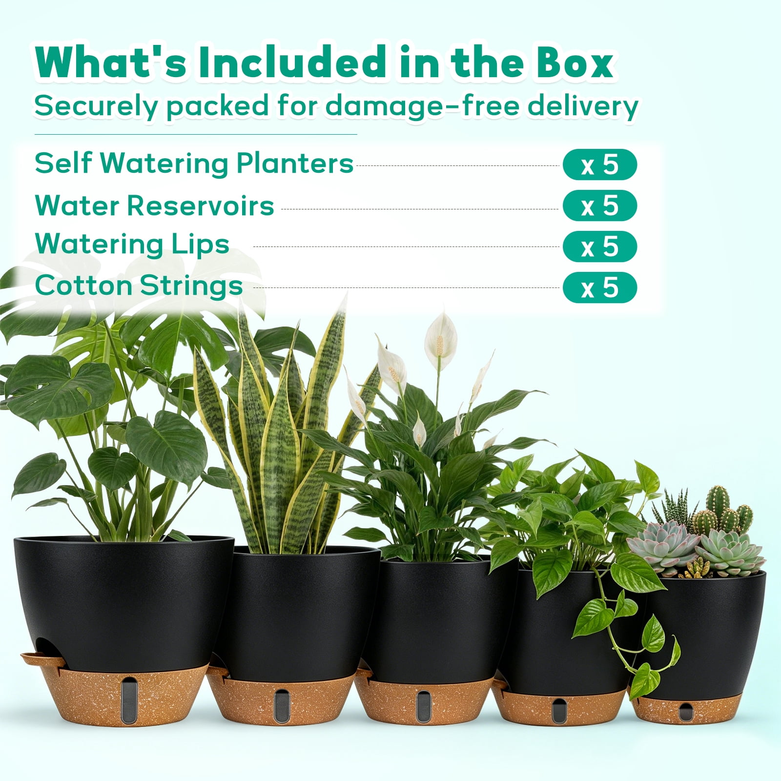 FIASON 5 Pack Plastic 6/8/9/10/12 Inch Black with Brown Self Watering Plant Pots,Include Watering Lip, Drainage Holes & Removable Saucer for Indoor Outdoor Garden House Plants
