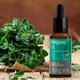 thumbnail image 4 of TALYA Oregano Oil 0.34 fl.oz | Oil of Oregano Liquid | Immune Support, High Carvacrol, Digestive Health | Non-GMO | Vegan | Mediterranean Oregano, 4 of 6