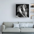 thumbnail image 2 of 35x35 Gallery Wrapped Canvas Art, 2 of 4